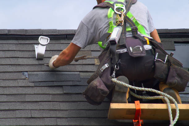 Roof Gutter Cleaning in Lumberton, MS