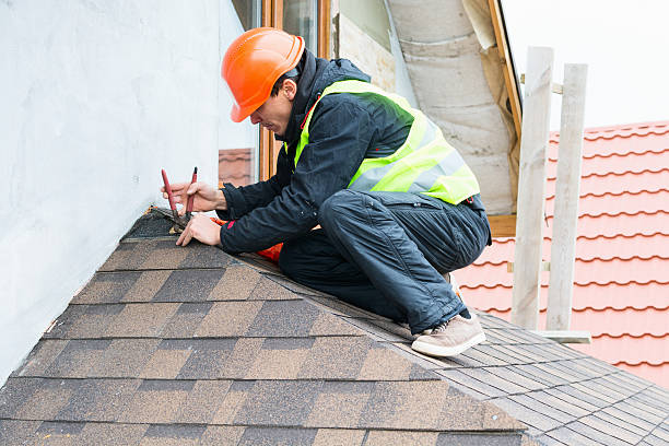 Best Roof Gutter Cleaning  in Lumberton, MS